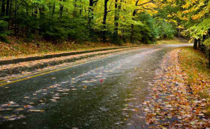 With Him Or Without Him